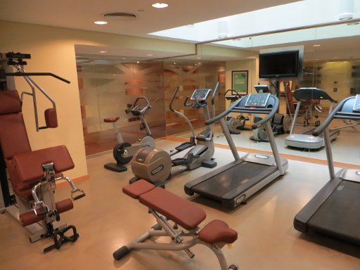 ibis Al Rigga, Dubai, Vereinigte Arabische Emirate, Fitness Studio