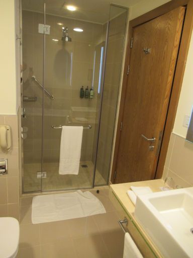 Traders Hotel &ndash; Qaryat Al Beri, Abu Dhabi, Vereinigte Arabische Emirate, Regenschauerdusche