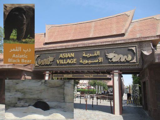 Dubai Safari Park, Dubai, Vereinigte Arabische Emirate, Asian Village Eingang und schwarzer B&auml;r