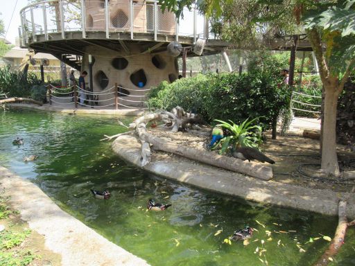 Dubai Safari Park, Dubai, Vereinigte Arabische Emirate, Gehege mit frei fliegenden V&ouml;geln