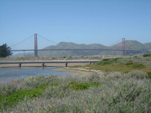 Golden Gate Bridge, San Francisco, Vereinigte Staaten von Amerika, Crissy Field Grünflächen