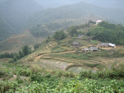 Sapa, Vietnam, Reisanbau